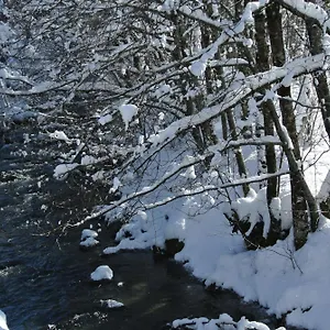 https://hotel-le-vermont.hotels-rhonealpes.com
