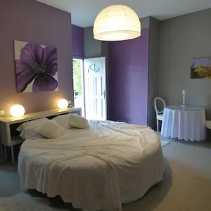 Le Chateau D'orleix Guest house